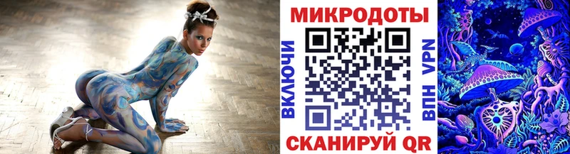 Купить закладки  Баймак  Галлюциногенные грибы Psilocybe 