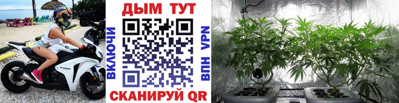 Каннабис Amnesia  Купить  Баймак 